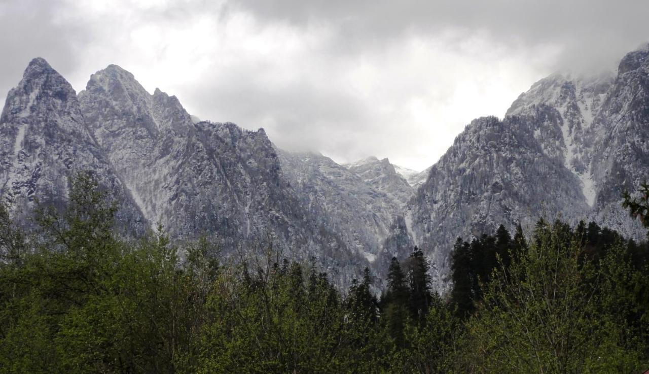 Vila Nik Szászbuda Kültér fotó